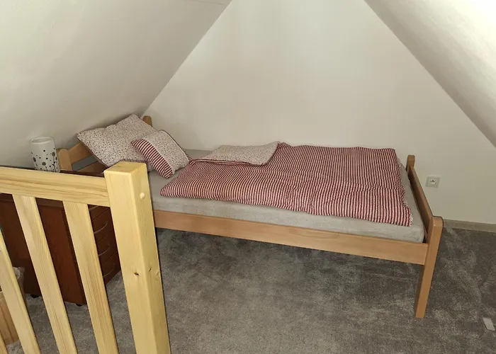 Chalupa U Krizku Ricky V Orlickych Horach